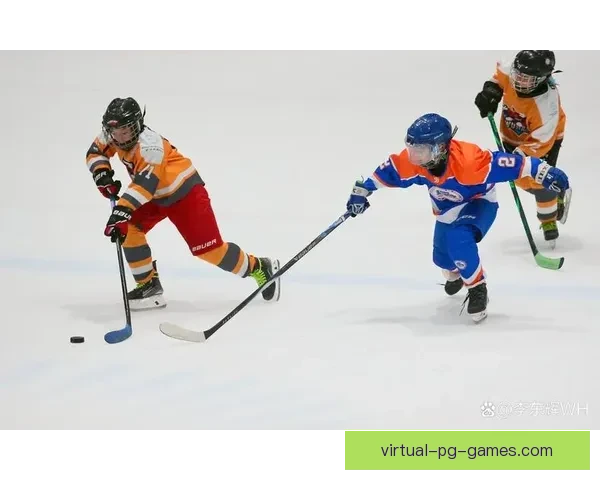 冰球杯赛：燃情对决尽显激情