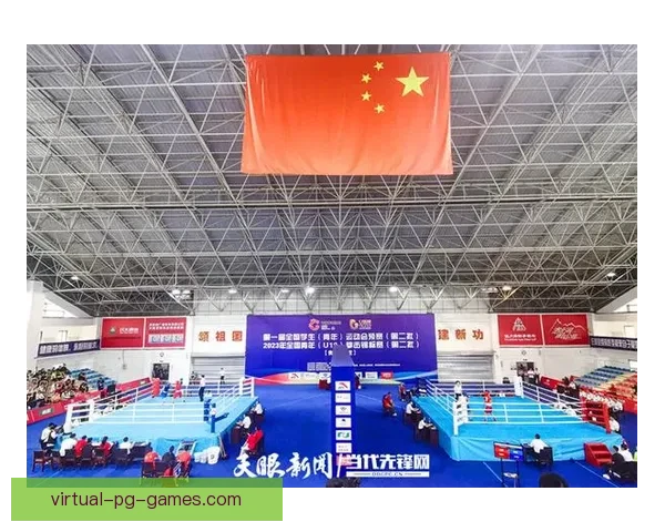 拳击赛程信息汇总：赛程、对战及胜负情况一站式查询