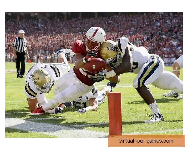 橄榄球投注技巧大揭秘：如何在比赛中把握得失，成为优胜者