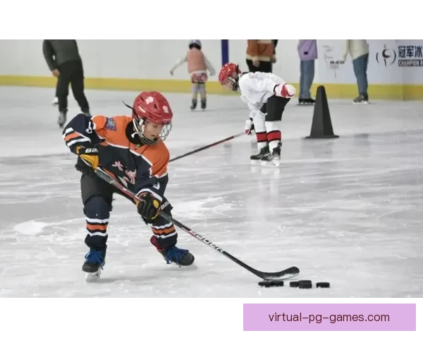 热门赛事实时播报，冰球直播全程解说